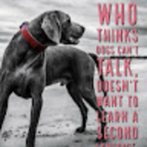 Meet your Posher, Agnes